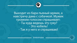 Выходит из бара пьяный мужик, ...