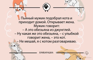 Пьяный мужик подобрал кота и приход...