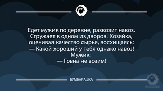 Едет мужик по деревне, развозит нав...