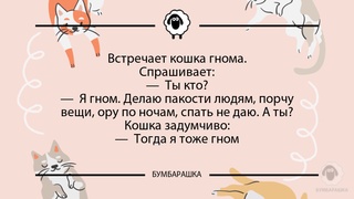 Встречает кошка гнома.Спрашивает:- ...