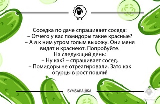 Соседка по даче спрашивает соседа:-...