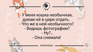 У меня кошка необычная, думаю её ...