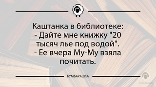 Каштанка в библиотеке:- Дайте мне к...