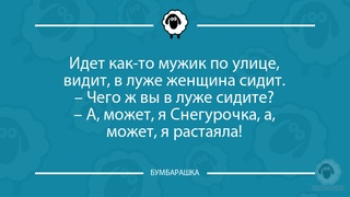 Идет как-то мужик по улице, видит, ...