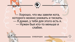 Хорошо, что мы завели кота, котор...