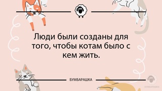 Люди были созданы для того, чтобы к...