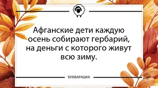 Афганские дети каждую осень собираю...