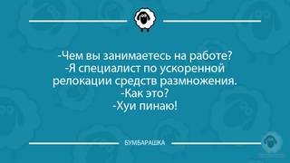 Чем вы занимаетесь на работе?-Я сп...