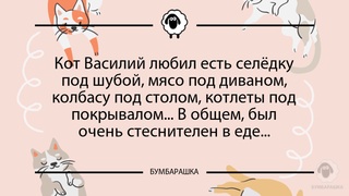 Кот Василий любил есть селёдку под ...