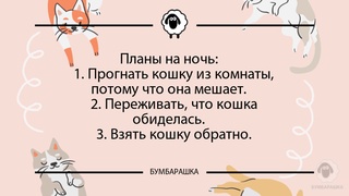 Планы на ночь: 1. Прогнать кошку ...