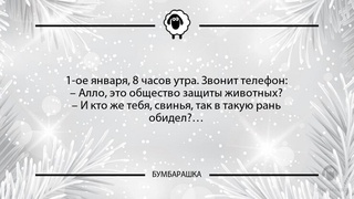 1-ое января, 8 часов утра. Звонит т...