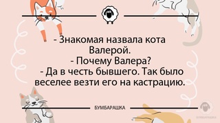 Знакомая назвала кота Валерой. -...