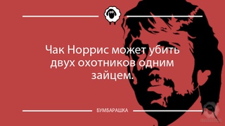 Чак Норрис может убить двух охотник...