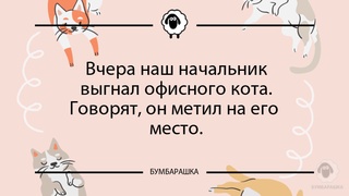 Вчера наш начальник выгнал офисного...