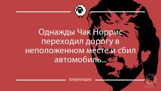 Однажды Чак Норрис переходил дорогу...