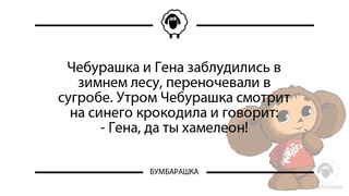 Чебурашка и Гена заблудились в...