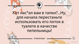 Кот насал вам в тапки?...Ну, для н...