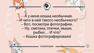 А у меня кошка необычная.- И чего...