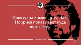 Флюгер на крыше дома Чака Норриса п...