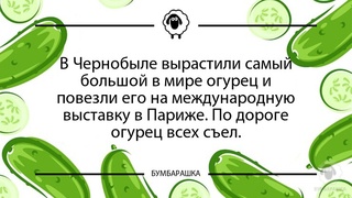 В Чернобыле вырастили самый большой...