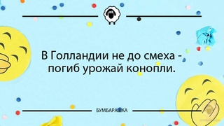 В Голландии не до смеха - погиб уро...