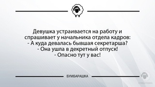 Девушка устраивается на работу...