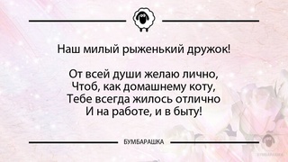 Наш милый рыженький дружок!От всей ...