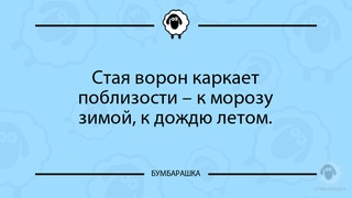 Стая ворон каркает поблизости - к м...