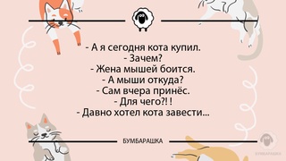 А я сегодня кота купил.- Зачем?- ...