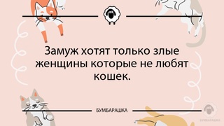 Замуж хотят только злые женщины ко...