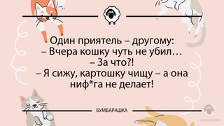 Один приятель - другому:- Вчера кош...